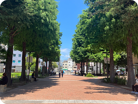 中央公園1階 並木道