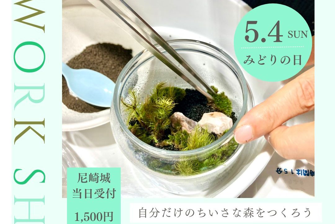 【終了しました】【尼崎城ワークショップ】苔テラリウムワークショップ