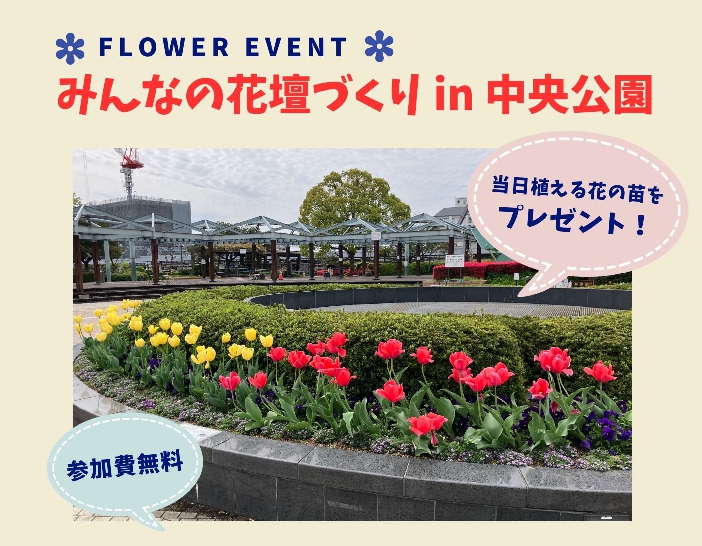 みんなの花壇づくり in中央公園